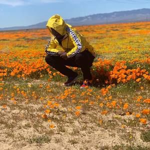 Meet your Posher, Kc